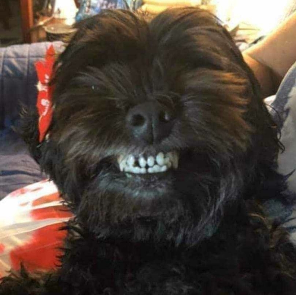 Meet your Posher, Tatyana - Picture 4 of 4